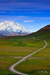 How To Visit Denali National Park Photos