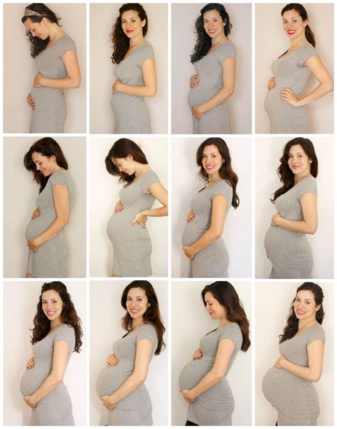 Evolution Of A Belly Babybauch Fotos Schwangerschaft Fotos Schwangerschaftsfotos