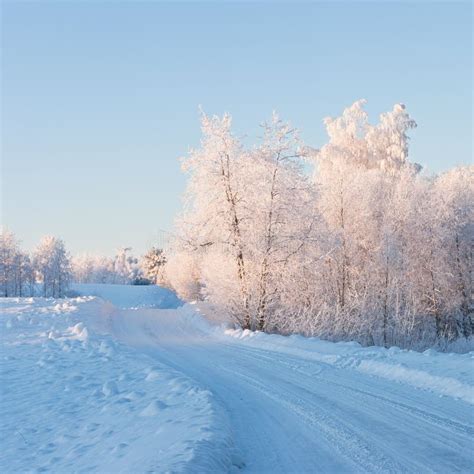 Frosty Morning Stock Image Image Of Winter Snowdrift 27627335