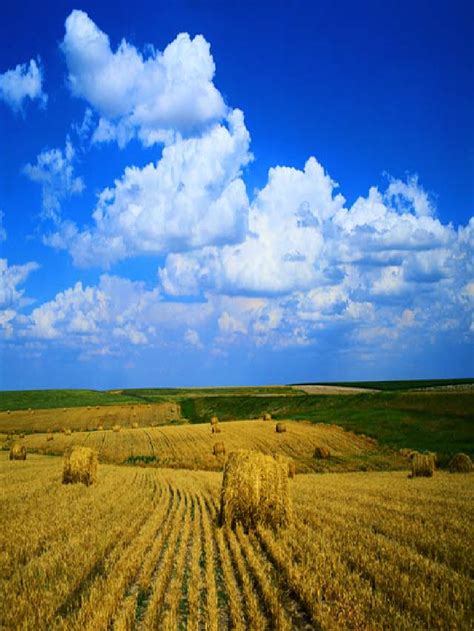 Download, share or upload your own one! 48+ Free Harvest Wallpaper on WallpaperSafari