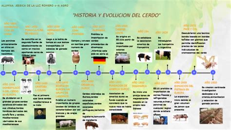 Historia Y Evolucion Del Cerdo Timeline Timetoast Timelines Hot Sex Picture