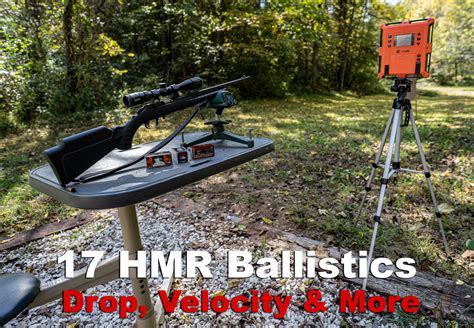 A Look At 17 Hmr Ballistics Including Muzzle Velocity Bullet