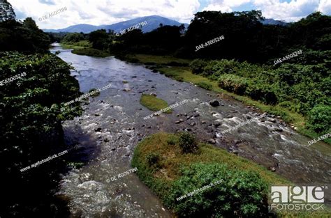 A Stretch Of Jimenoa River Armando Bermudez National Park Dominican