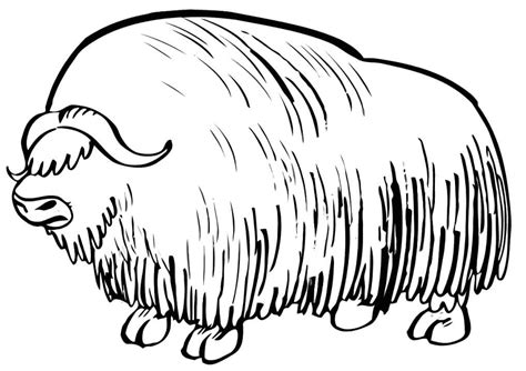 Bison Coloring Pages Free Printable Coloring Pages For Kids