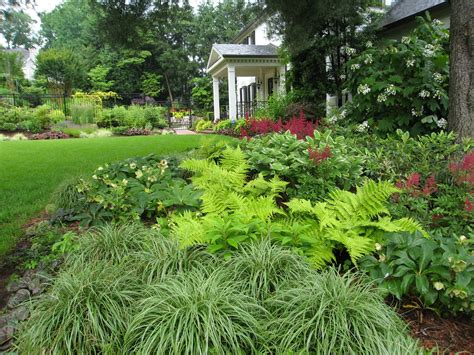 It is surrounded by shrubs with smaller leaves in shade of green, burgundy and yellow. Pin by Rebecca Higginbotham on Outdoors | Deer resistant ...