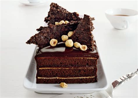 Easy Chocolate Hazelnut Cake Recipe Atonce