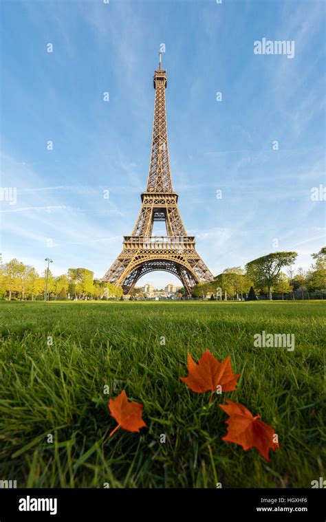 Sunny Morning In Paris And Eiffel Tower With Maple Leaf At Paris