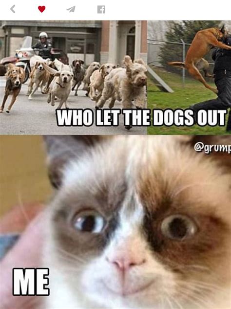 Ha Ha Ha Funny Cat Memes Funny Grumpy Cat Memes Grumpy Cat Quotes