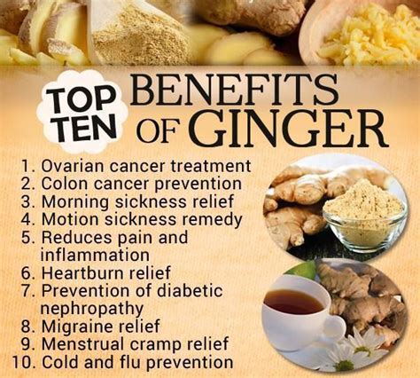 The Health Benefits Of Ginger Revolution Chiropractic