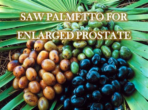 5 Natural Remedies For Enlarged Prostate Bph Prosman