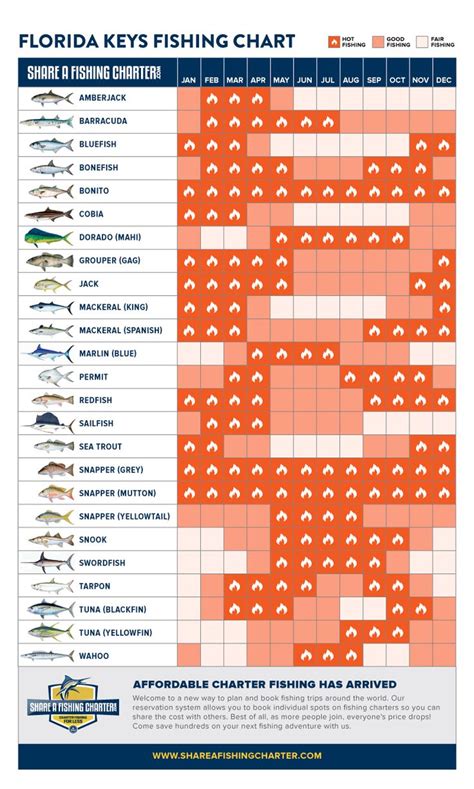 Florida Keys Fishing Seasons Chart