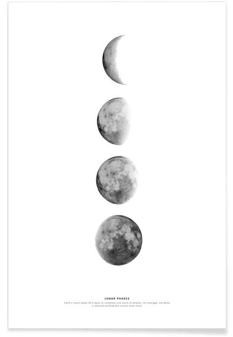 Månens Faser Poster Juniqe