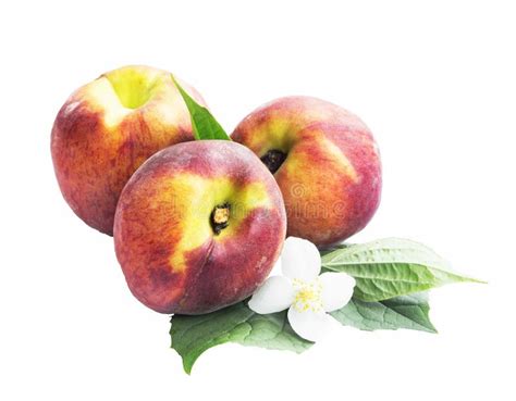 Fresh Peaches With Flower And Leaves Stock Photo Image Of Healthy