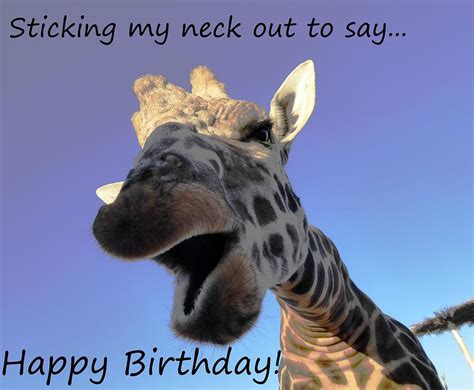 Giraffe Happy Birthday Greeting Photograph By Les Classics Pixels