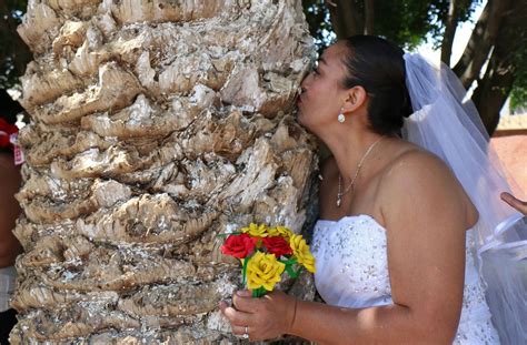 Woman Marries Giant Tree Hoping To Save It From Destruction