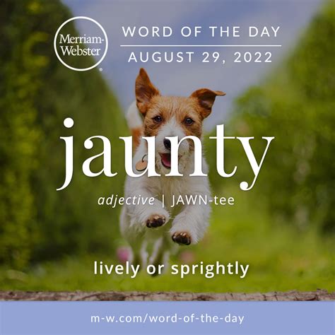 Word Of The Day Jaunty Word Of The Day Words Vocabulary