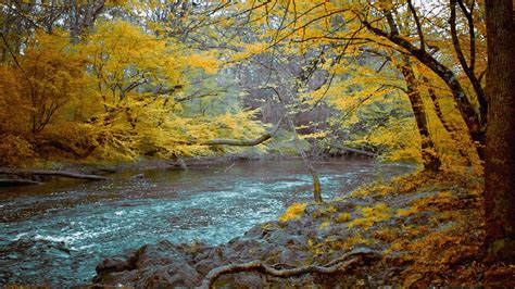 Microsoft surface laptop 3 wallpapers. Free download Download Wallpaper 2560x1080 Mountain river ...