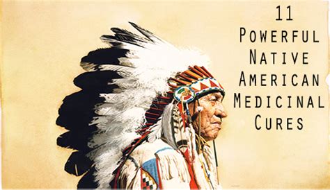 11 powerful native american medicinal cures bio prepper