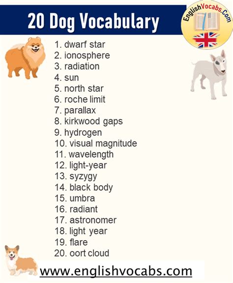 20 Dog Words Dog Vocabulary List English Vocabs