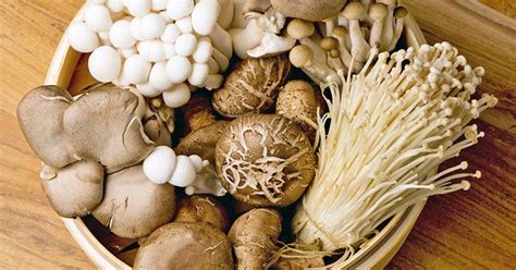 Mushrooms have no chlorophyll so they must get all their nutrients from the organic matter in their growing medium. 10 Best Mushroom Growing Kits and How to Grow Mushrooms