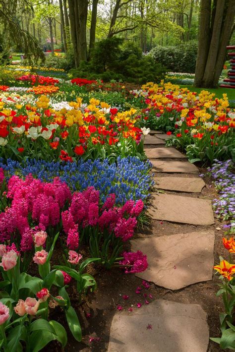 75 Garden Path Ideas And Designs Pictures Beautiful Flowers Garden