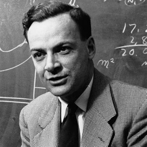 Feynman Richard P Princeton University Press