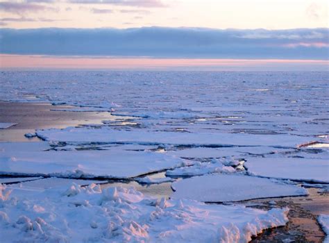 The Arctic Oceans Deep Past Provides Clues To Its Imminent Future