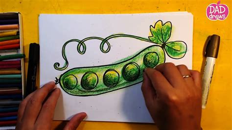 How To Draw A Pea Pod Art For Kids Youtube