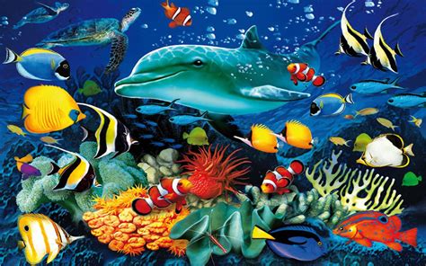 Underwater Marine Life Wallpaper Daily Quotes