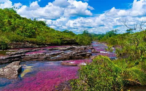This River In Colombia Turns Into A Liquid Rainbow You Have To See To