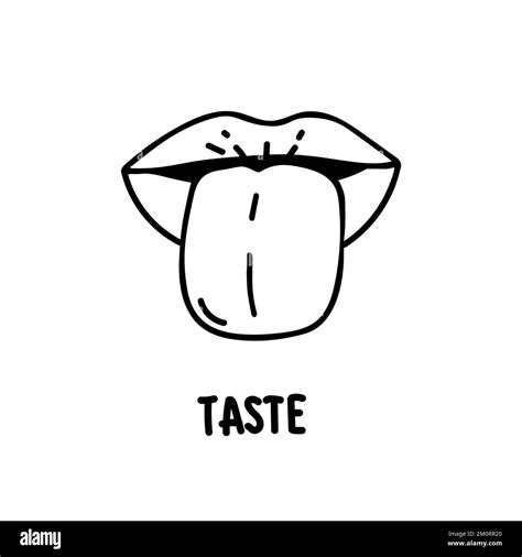 Human Tongue Taste Buds Stock Vector Images Alamy