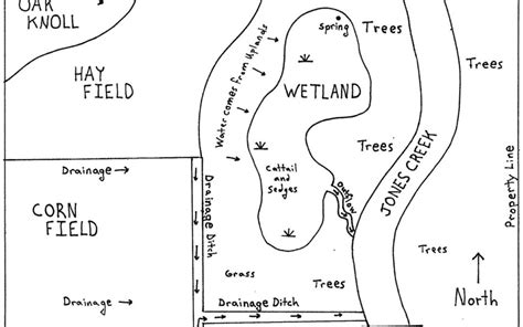 Wetlands Map