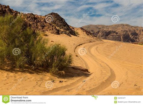 Sinai Desert Surrounded By Mountains Stock Image Image Of Sharm
