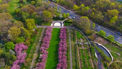 The Brooklyn Botanic Gardens Cherry Blossom Trees From Above Youtube