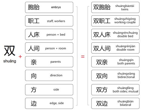 Mandarin Chinese From Scratch Chinese Words Beginning With 双 Shuāng