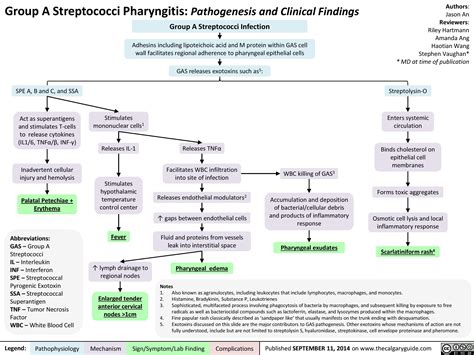 Pharyngitis Group A Strep Pathogenesis And Clinical Findings