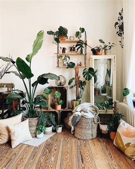 How To Arrange Indoor Plants Retro Living Rooms Trendy Home Decor
