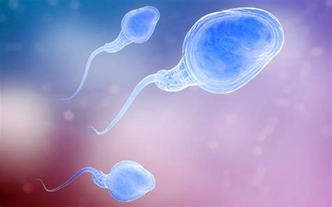 Mobile Phones Are Cooking Mens Sperm