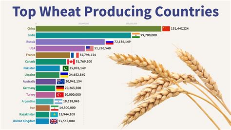 Top Wheat Producing Countries 1961 2018 Youtube