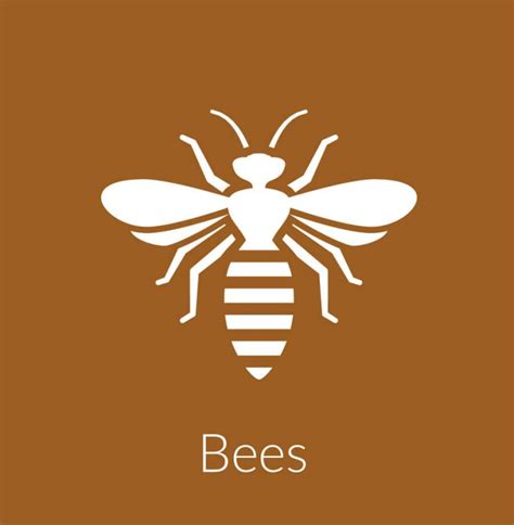 Our expert exterminators will clear any infestation. Bee Control including Wasps, Hornets & Yellow Jackets ...