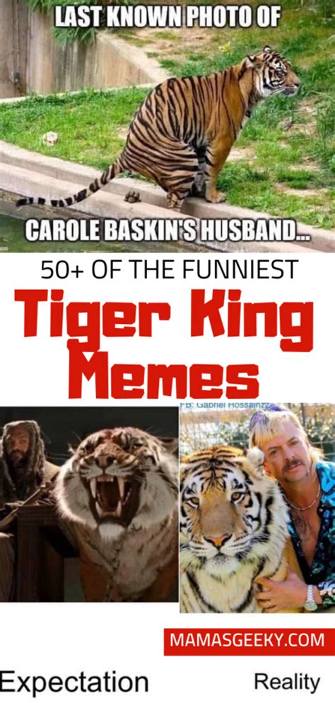 7 Memes That Went Viral King Funny Memes Vrogue Co