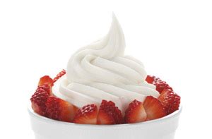 Non fat greek frozen yogurt. Frozen Yogurt - Domenico Food Products