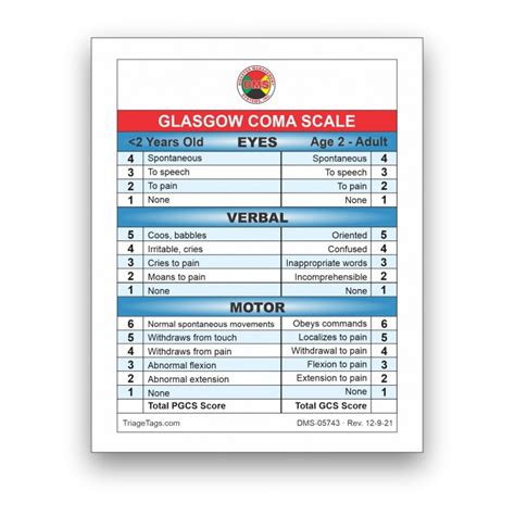 Glasgow Coma Scale Jumpstart Pediatric Cards