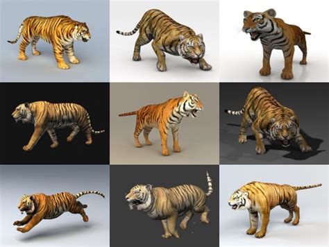 10 High Quality Tiger 3d Models For Free Download Open3dmodel