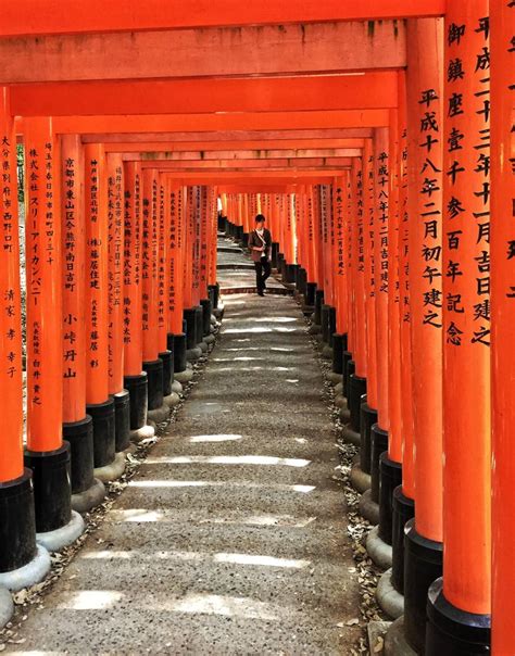 Another famous place in japan is kyoto which has the highest concentration of cultural treasures in japan. TOP 5 places to visit in Kyoto, Japan. Don't miss it!