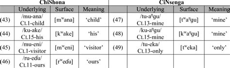 Secondary Articulation In Nouns And Possessive Pronouns Download Table
