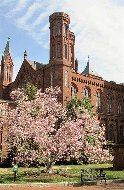 Smithsonian Castle With Spring Blossoms Washington Dc Favorite