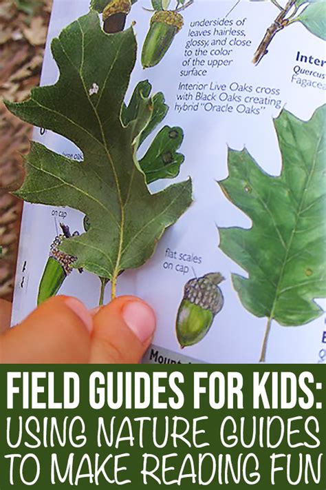 Best Field Guides For Kids Make Reading Fun With Nature Guides