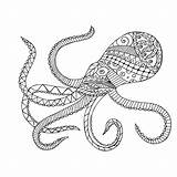 Squid Octopus Getdrawings Getcolorings Mollusks Auswählen Labelled Cuttlefish sketch template