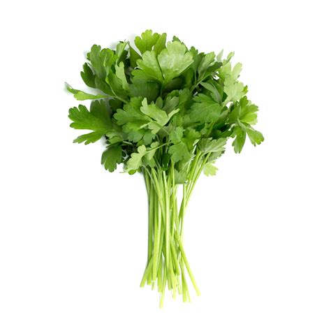 Continental parsley | Veggycation